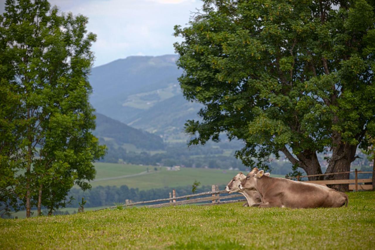 Moserhof เฮาส์ อิม เอนน์สทาล ภายนอก รูปภาพ